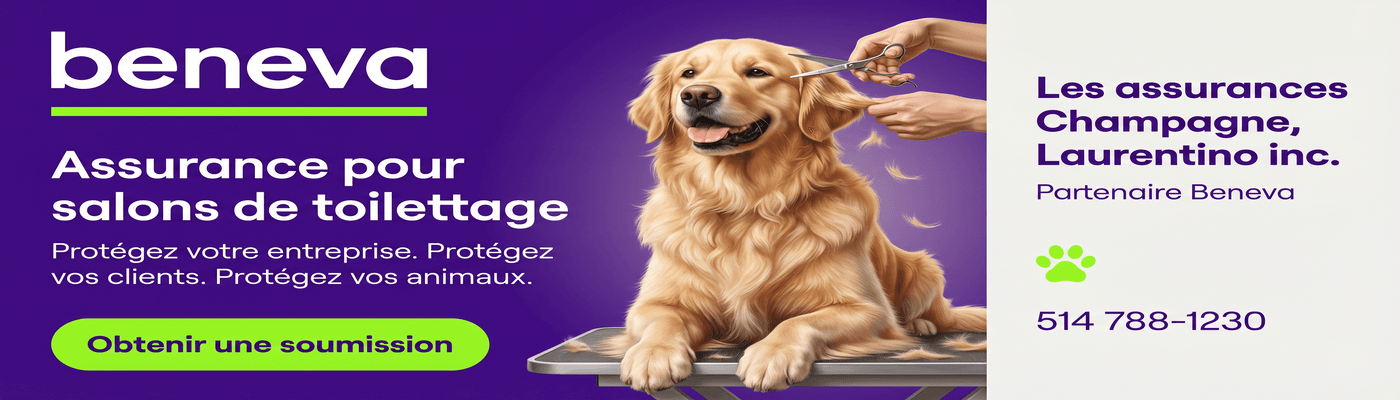 Les assurances Champagne Laurentino inc.