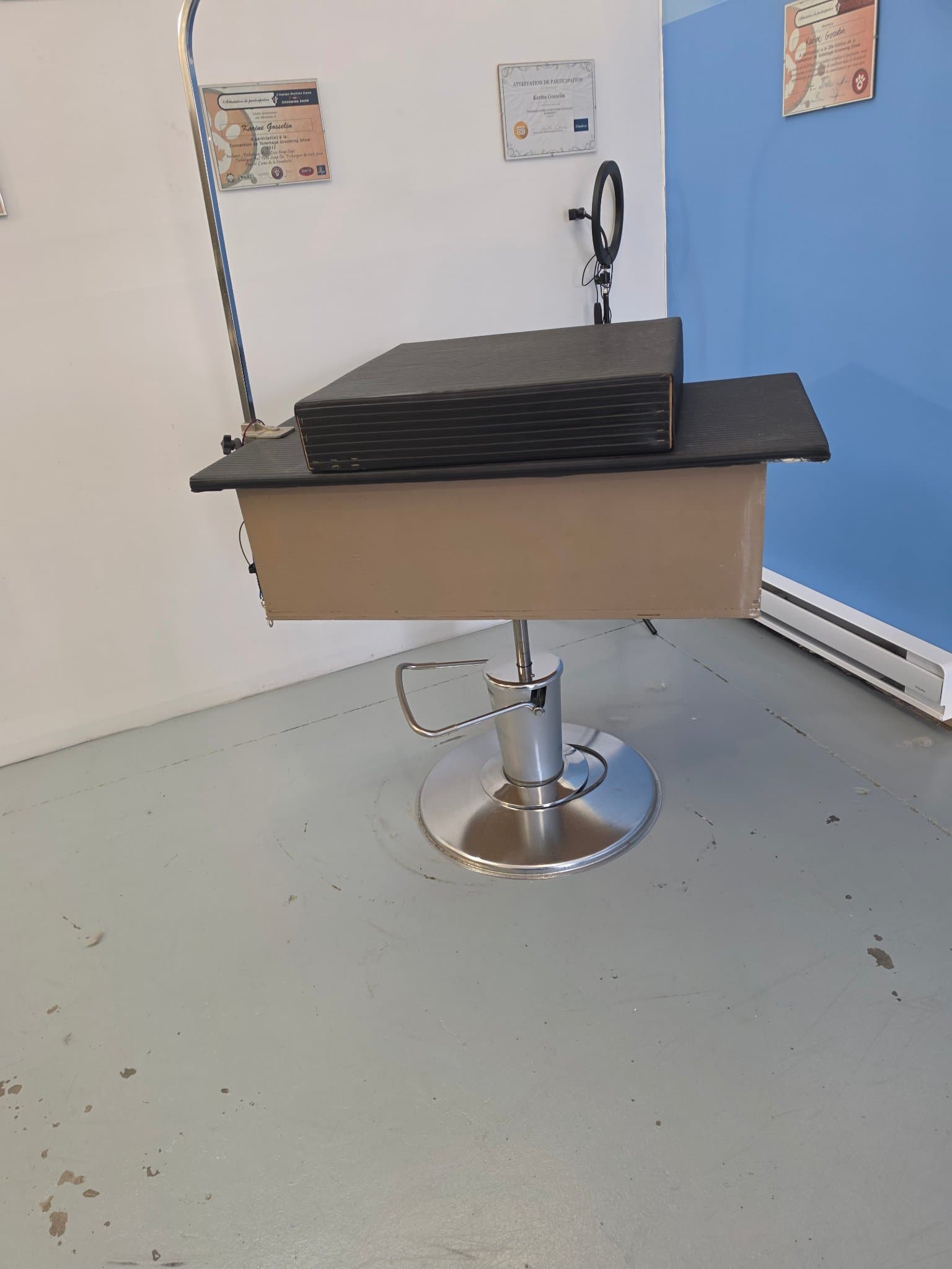 Table de toilettage