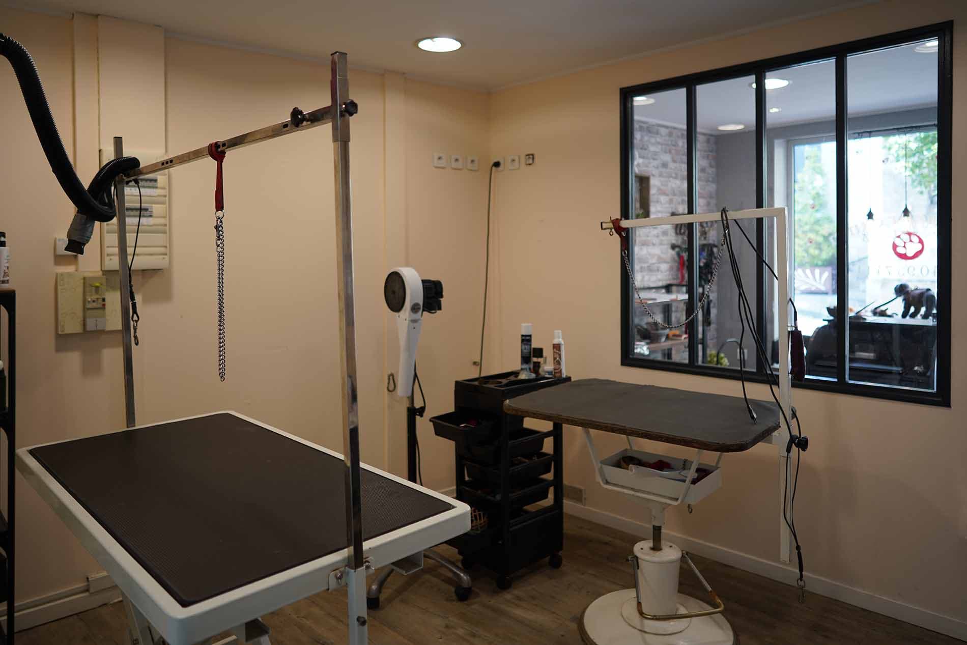 Spécialiste en toilettage pour animaux de compagnie